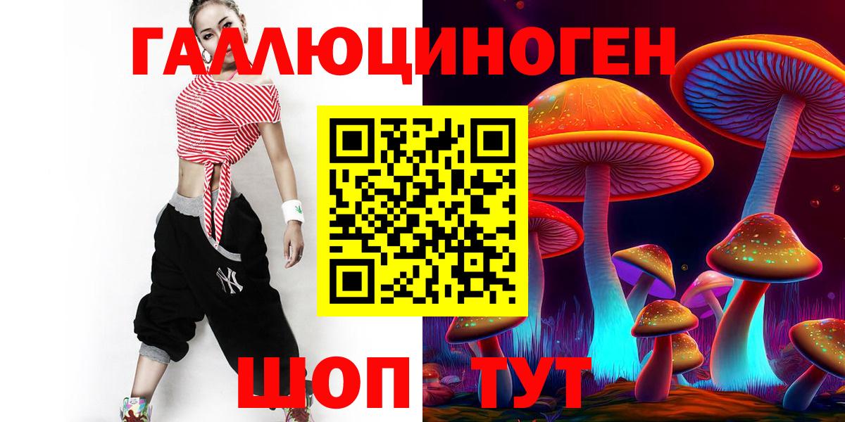 Галлюциногенные грибы Psilocybine cubensis Малоярославец