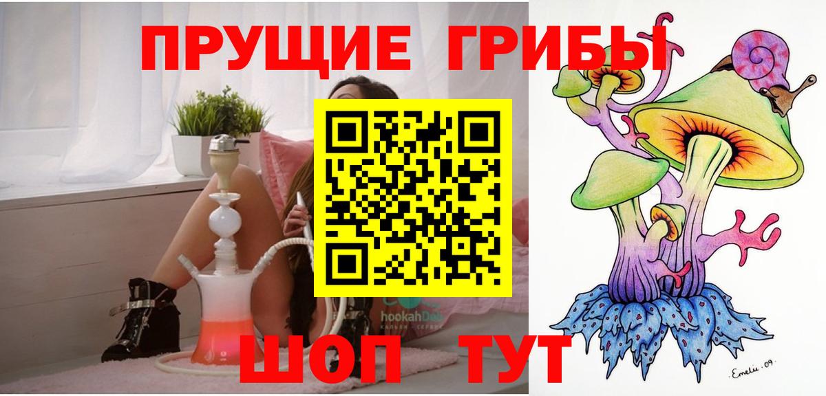 продажа наркотиков  Галлюциногенные грибы MAGIC MUSHROOMS  Вход с VPN  Малоярославец 